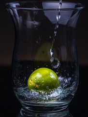 KIWI W WODZIE © Piotr