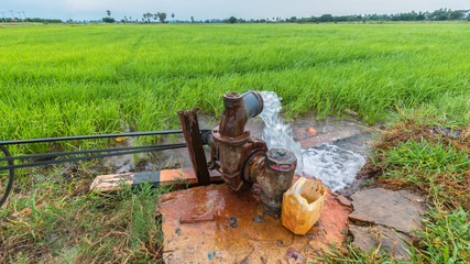  Pumping water into the fields