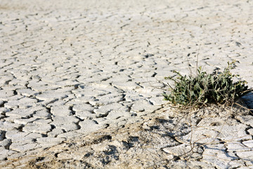 background of dry parched and cracked soil of the earth, texture of clay fissures desert
