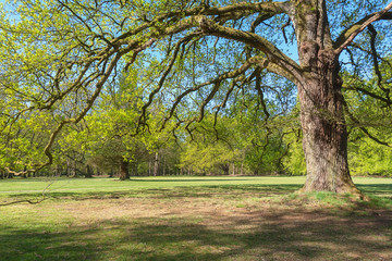 The palace park part of the Crown Estates in Apeldoorn