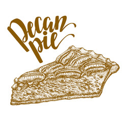 vector hand drawn illustration of pecan pie