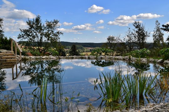 Der blaue Himmel mit den Wolken spiegelt sich im klaren Wasser des Teiches
