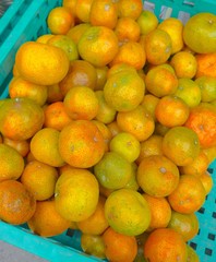 Tangerine closeup on the background 