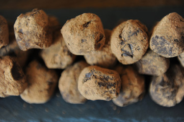 Chocolate truffles in cocoa sprinkled. On the slate board on wooden background. Close-up, texture