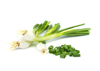 onions  leaf  vegetable.