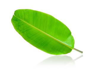 Fototapeta premium Banana Leaf isolated on white background