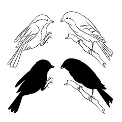 The outline and of the silhouette of the birds set of three vector illustration