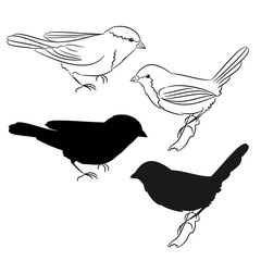 The outline and of the silhouette of the birds Set of four vector illustration