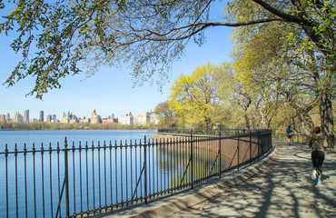View of Central park at sunny spring day