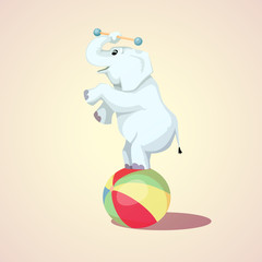 Fototapeta premium Happy cartoon Circus Elephant on the ball vector illustration