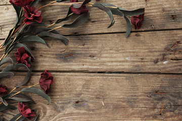 Flowers on wooden background 