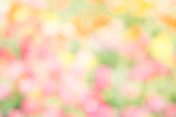 abstract blur color nature flower outdoor style background yellow pink green mix colorful - Powered by Adobe