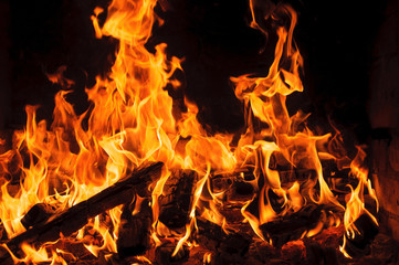 Fototapeta premium Campfire flames over burning logs