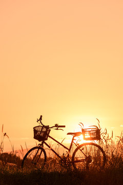 beautiful landscape image with Silhouette vintage Bicycle at sunset.classic bicycle, for greeting Cards ,post card © Looker_Studio