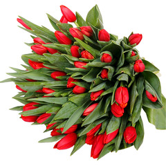 large bouquet of tulips