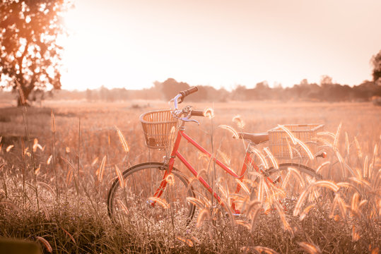 beautiful landscape image with vintage Bicycle at sunset ; vintage tone style