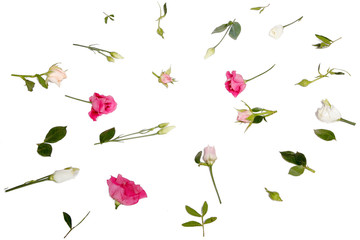 a pattern of pink flowers