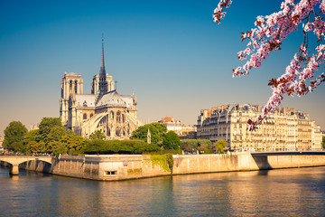 Notre Dame de Paris at spring, France