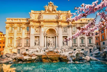 Poster Fountain di Trevi in Rome in de lente, Italië © sborisov