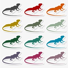 Lizard icon vector - Illustration