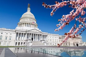 Papier Peint photo autocollant Lieux américains US Capitol over blue sky with blooming cherry on foregraund