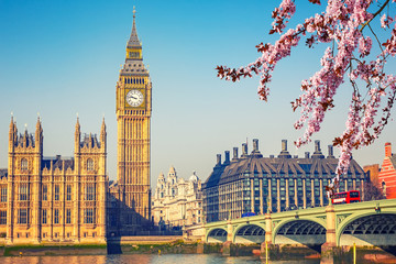 Big Ben and westminster bridge in London at spring