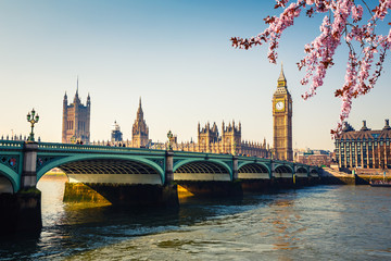 Fototapeta premium Big Ben and westminster bridge in London at spring