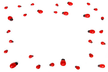 Collection of ladybugs isolated on white