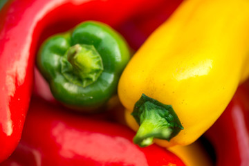 Summer harvest. Freshly picked, red, green and yellow sweet peppers, laying in grass in garden. Healthy eating, fresh food, vegetables, vitamins, diet, fitness. Making fresh salads for dinner. Tasty