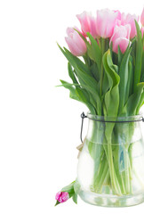 Bouquet of fresh pink tulips in vase close up isolated on white background
