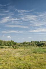 R&eacute;serve naturelle de la petite Camargue Alsacienne, Saint-Louis