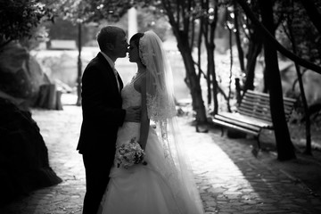 Black and white silhouette of newly married couple hugging at park in sun rays