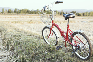 Fototapeta na wymiar Hipster bicycle on grass field ,Concept journey,hipster tone