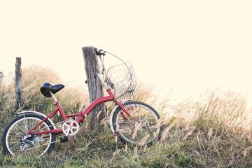 Hipster bicycle on grass field ,Concept journey,hipster tone