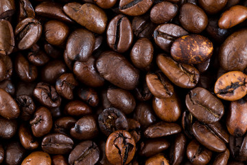 Brown coffee bean texture
