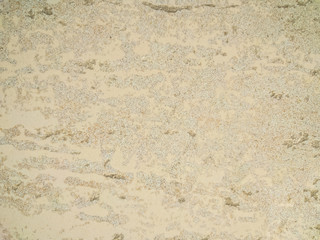 graphite natural pattern background