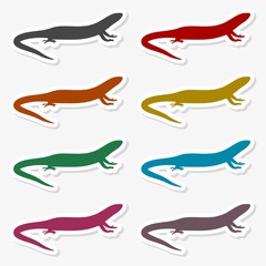 Lizard icon vector - Illustration