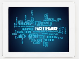 Facettenauge