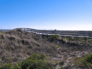 A Long Trek to the Sea