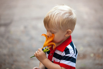 little boy smelling a fresh spring flower lily