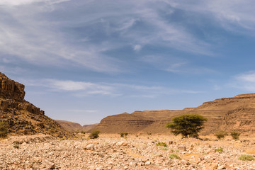 Dry river Wadi Draa near Zagora, Morocco