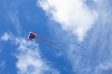 Kite in the sky