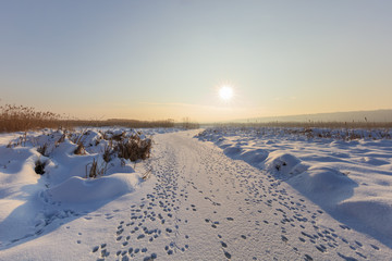 Comana lake in winter