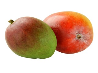 red and green mangoes
