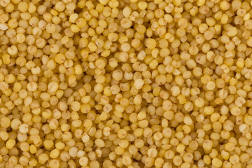 Dry millet closeup