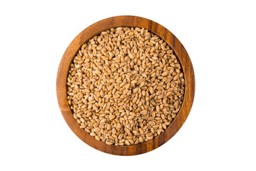 Wheat grain in bowl