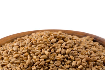 Wheat grain in bowl