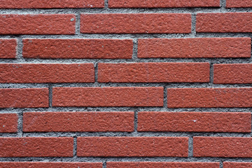 Obraz premium texture