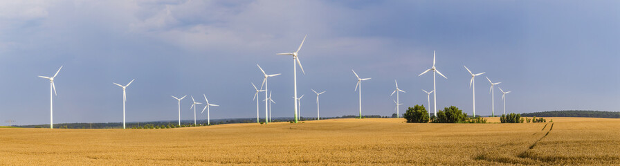 wind generators deliver electricity in Wolgast