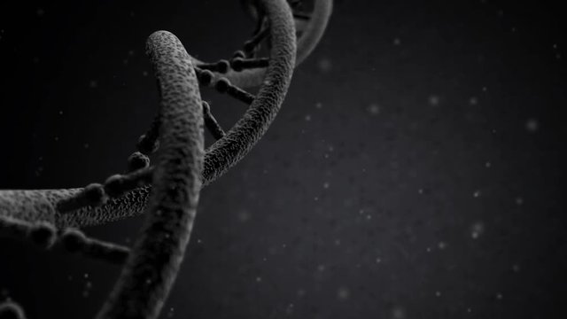 DNA molecule